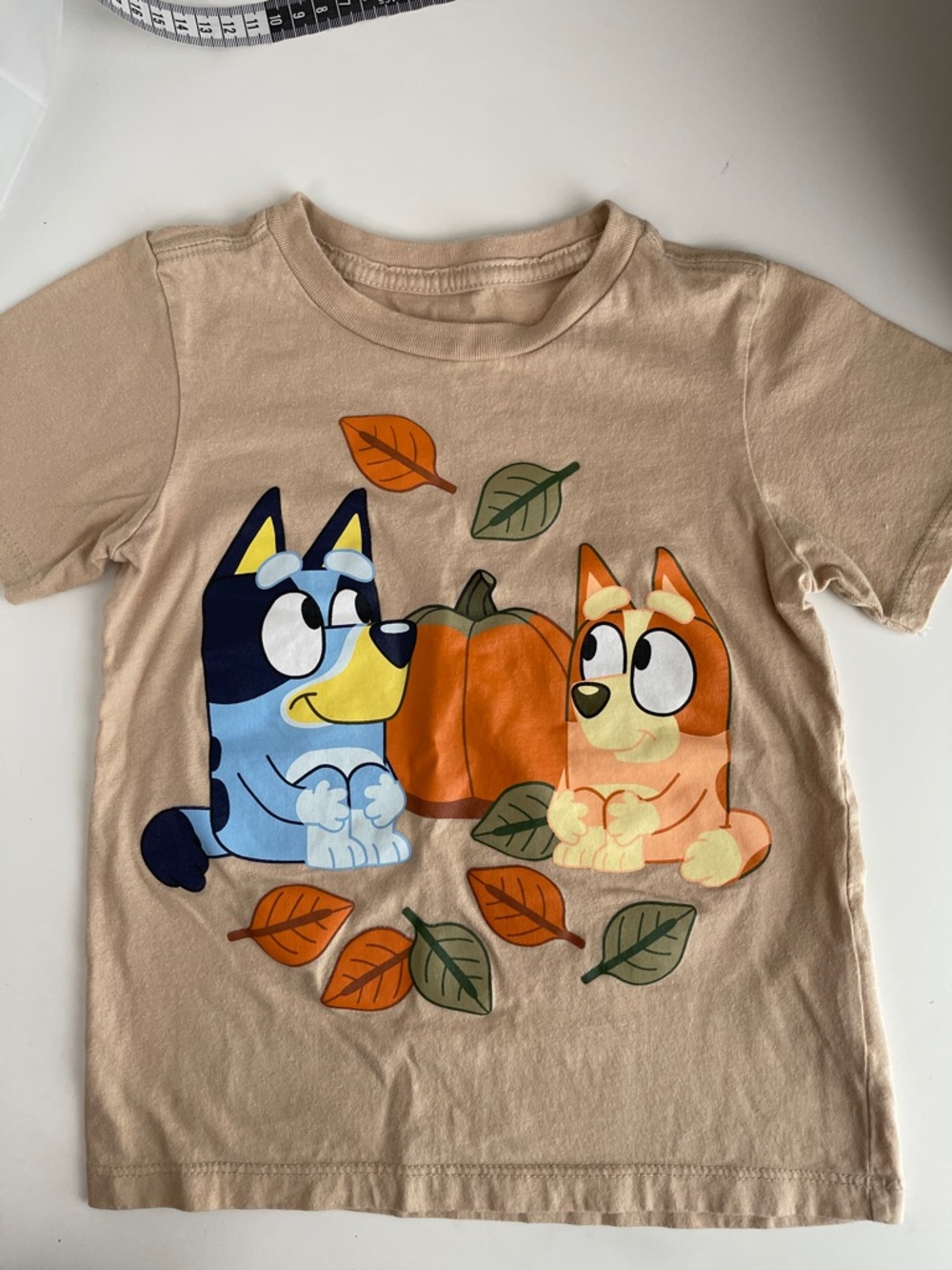 Beige Short Sleeve Kids Tee with Bluey & Bingo Pumpkin Graphic